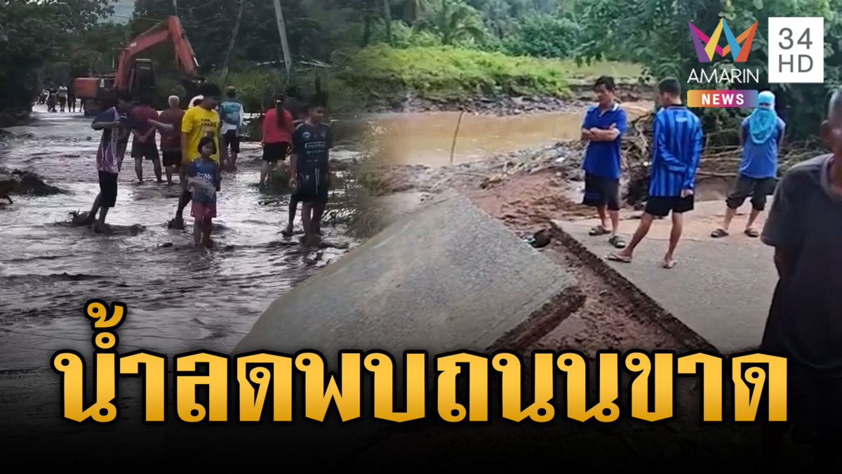 ด่านช้างน้ำลดพบถนนขาด ต้นไม้ล้มระเนระนาด