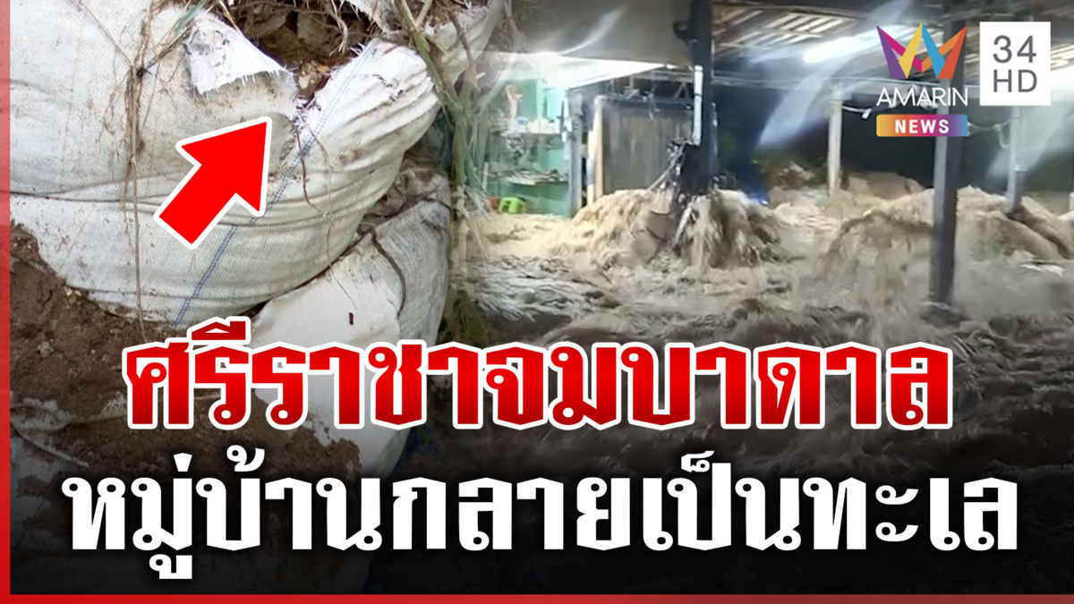 ศรีราชาน้ำแรงเกิน! ฝนตกหนักทะลักท่วมหมู่บ้าน ซัดบิ๊กแบกเหลือแต่ซาก