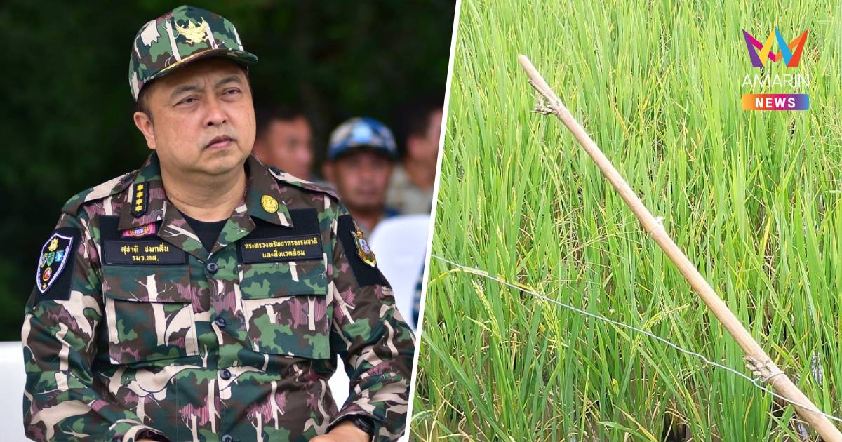 "สุชาติ" สั่งล่าความจริง! ช้างป่าล้มกลางนา สั่งเร่งพิสูจน์สาเหตุ