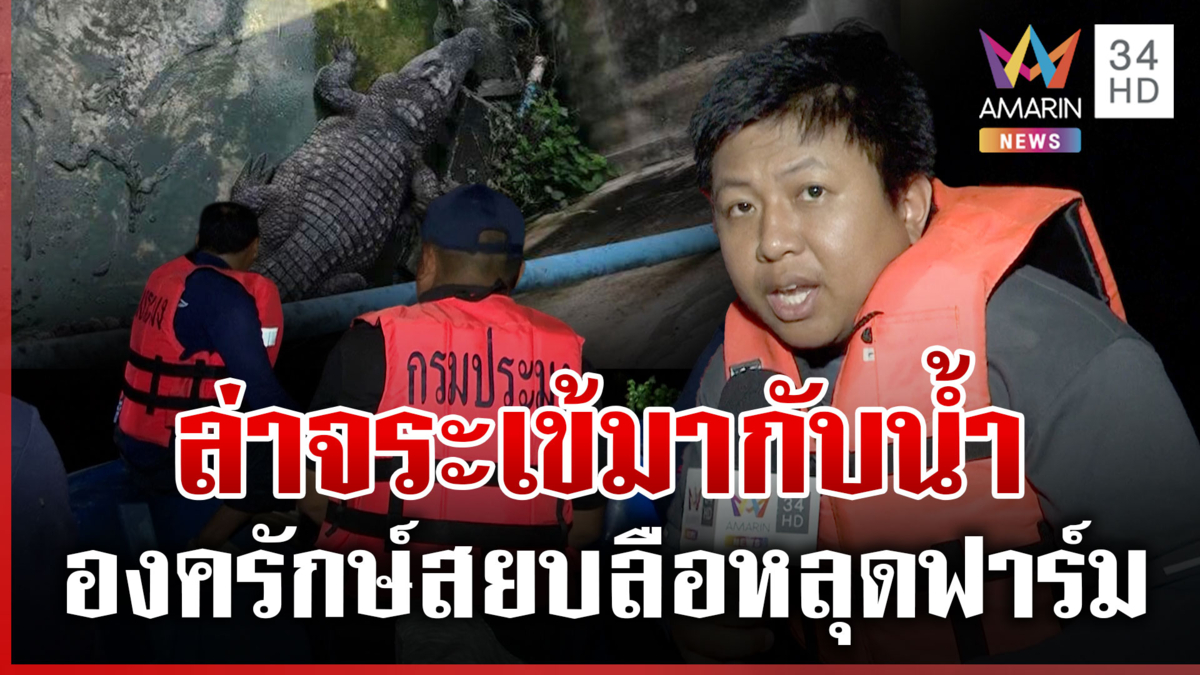 ภารกิจเดือดลุยน้ำล่าจระเข้ ยังจับไม่ได้ชาวบ้านผวาหนัก