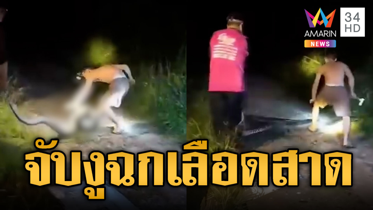 หนุ่มโชว์จับงูพลาด โดนฉกเลือดสาด