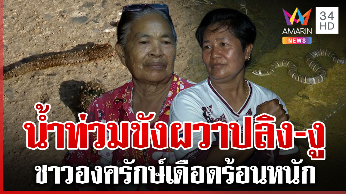 ผวา! สัตว์มากับน้ำ ทั้งปลิง-งูมีพิษ องครักษ์ท่วมหนักเกิน 20 วัน