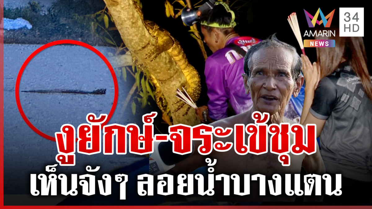 ไกรทองจำเป็น! ลุยกลางดึกล่าจระเข้ เพิ่งทุกศาสตร์ บนหัวหมูขอให้เจอ