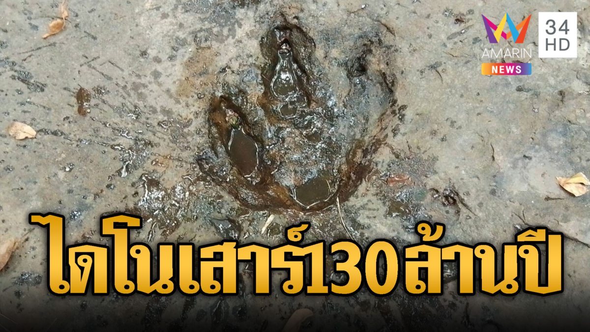 อุดรธานีฮือฮา! เจอรอยเท้าไดโนเสาร์อายุกว่า 130 ล้านปี