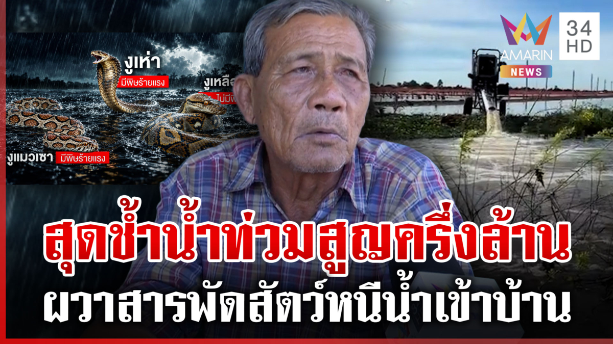 บางคล้าน้ำเริ่มลดแต่ยังท่วมอยู่ นครนายกผวางูหนีน้ำเข้าบ้าน