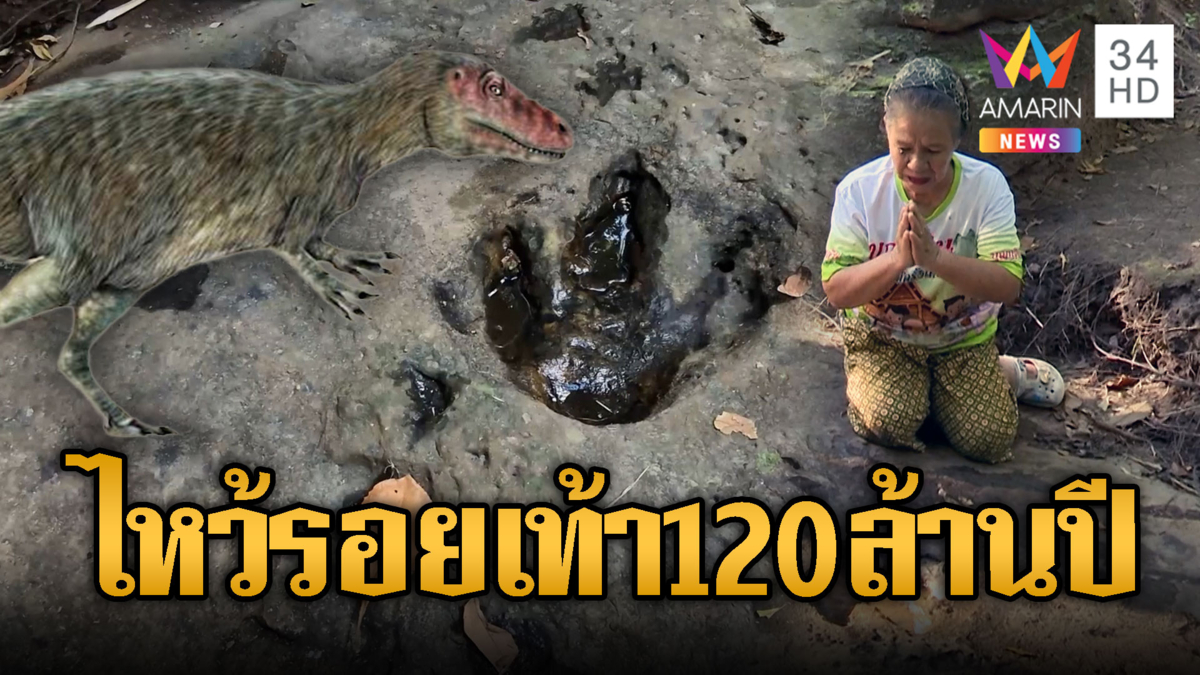 ชาวบ้านแห่กราบไหว้รอยเท้าไดโนเสาร์กินเนื้อ อายุ 120 ล้านปี