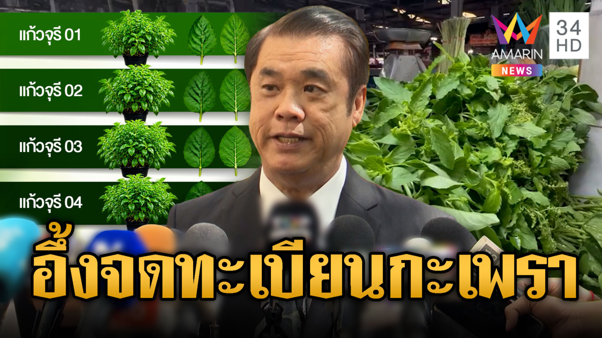 สุริยะสยบดรามา! จดทะเบียนกะเพรา 4 สายพันธุ์ใหม่