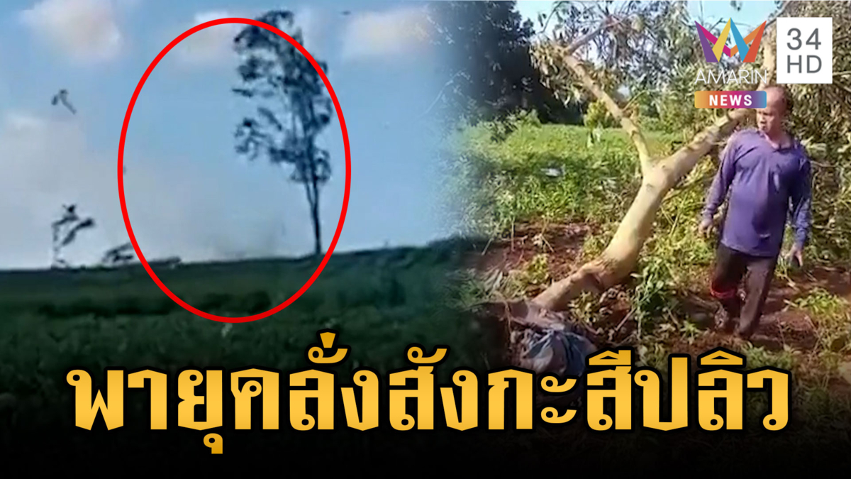 พายุงวงช้างคลั่ง! พัดสังกะสีปลิวว่อน