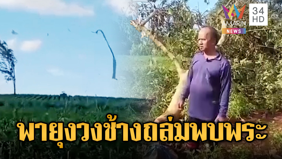 พายุงวงช้างถล่มพบพระ สังกะสี-ต้นอาโวคาโดปลิวว่อน