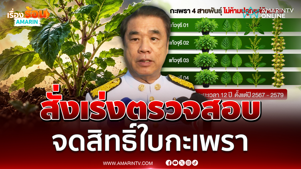 สุริยะ สั่งกรมวิชาการเกษตร​ เร่งตรวจสอบจดสิทธิ์ใบกะเพรา 4 สายพันธุ์