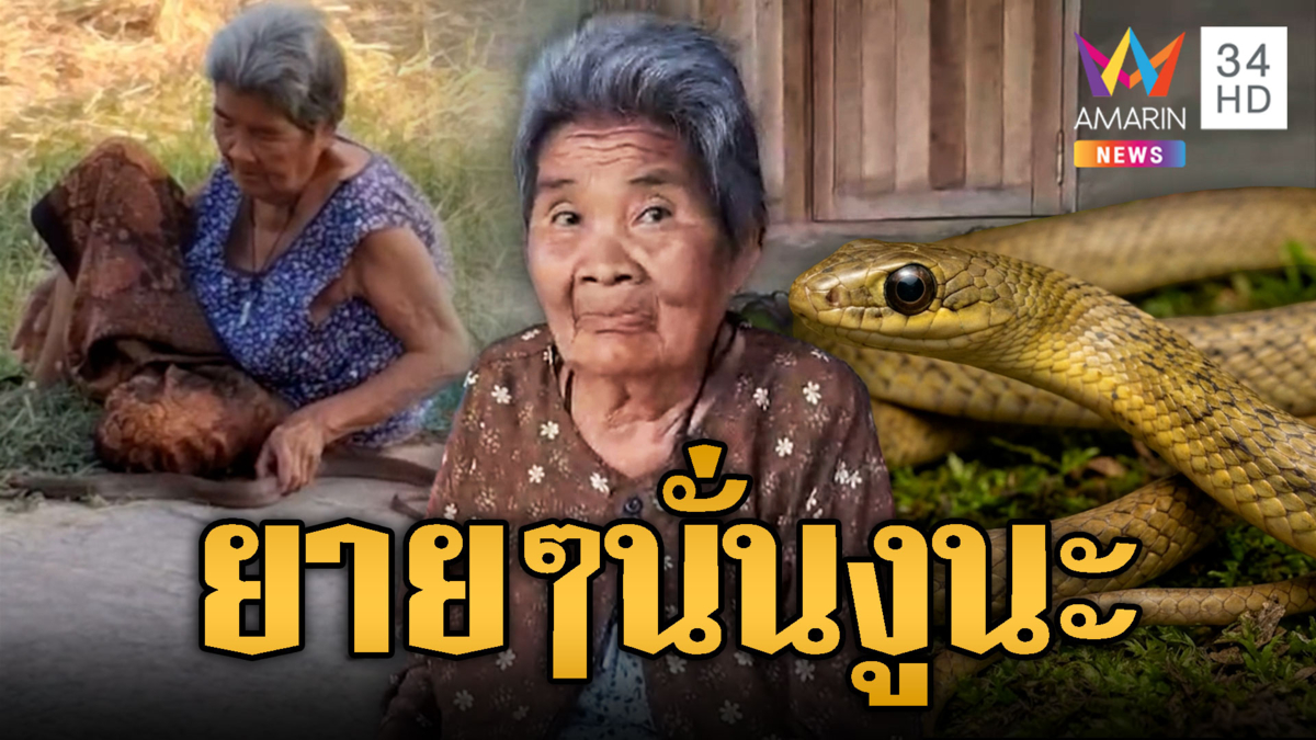 ยายใจกล้านั่งเล่นงูสิงตาโต สนิทกันจนน่าแปลกใจ