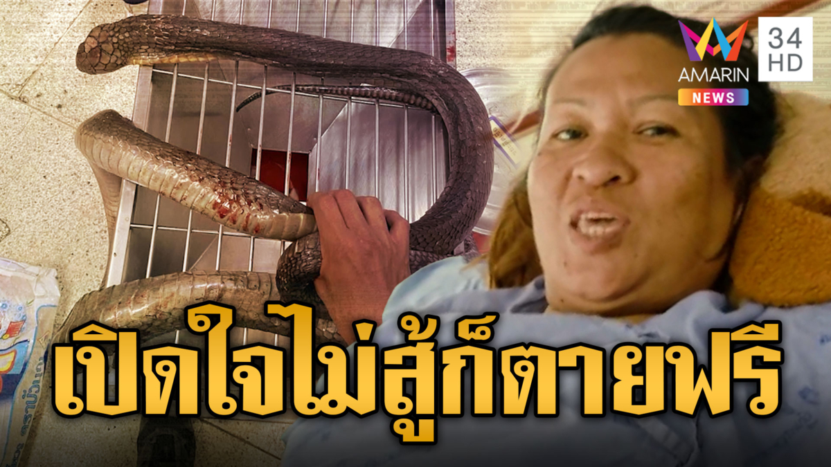 สัญชาตญาณมนุษย์ ป้าเตะก้านคองูจงอางตาย หลังถูกกัด