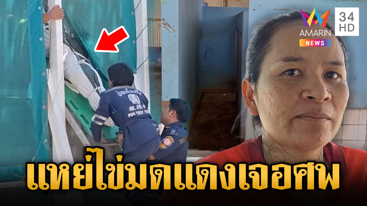 หลอน !! แหย่ไข่มดแดง เจอศพอืด