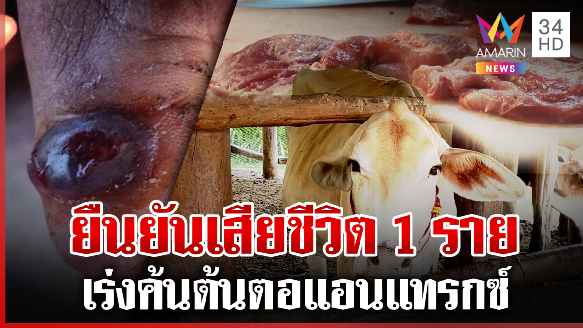 สสจ.มุกดาหาร ยันดับเซ่นแอนแทรกซ์แค่ 1 ศพ เร่งหาต้นตอเชื้อ