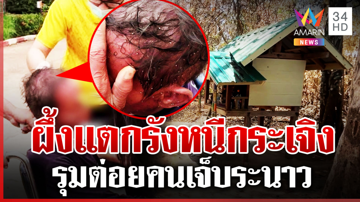 หนีตายผึ้งหลวงแตกรัง รุมต่อยชาวบ้านขณะเลี้ยงผีปู่ย่า