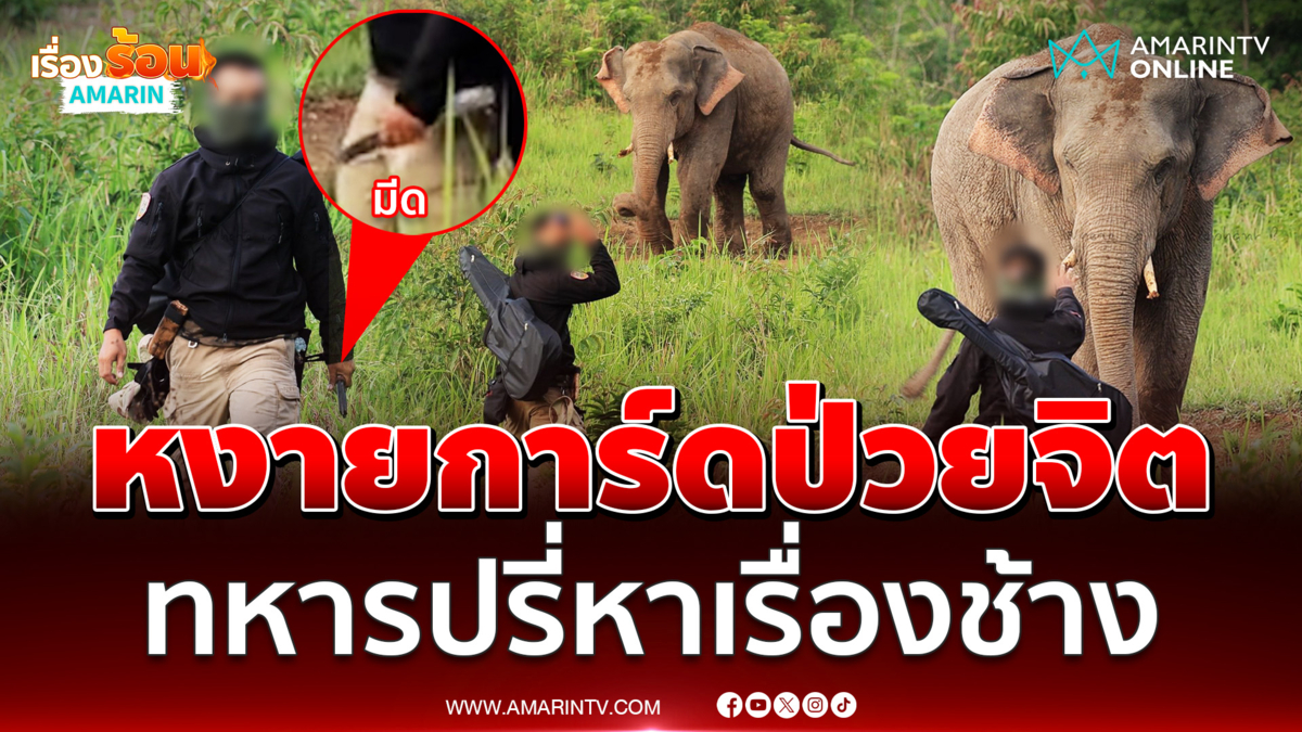 ทหารปรี่หาเรื่องช้าง อ้างผมป่วยจิตเวช