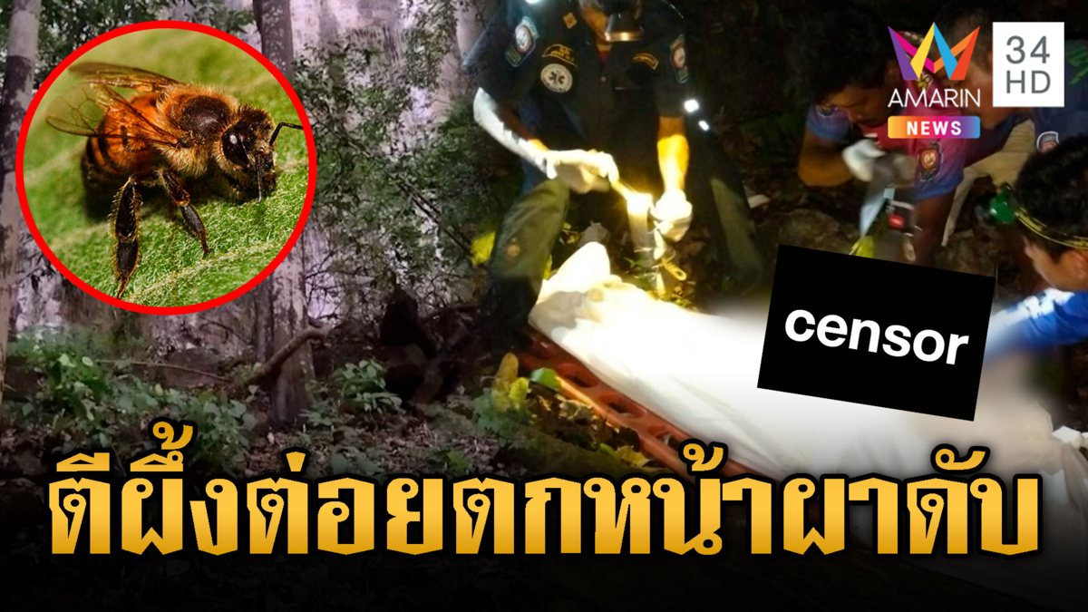 หนุ่มปีนตีผึ้ง ถูกต่อยพลัดตกหน้าผาดับ