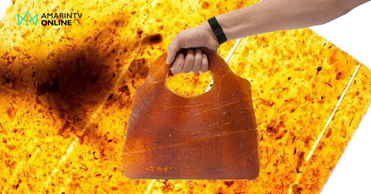 เทรนด์ใหม่สายแฟ Fruit Leather แปรรูปขยะผลไม้ สู่หนังเทียมสุดปัง!