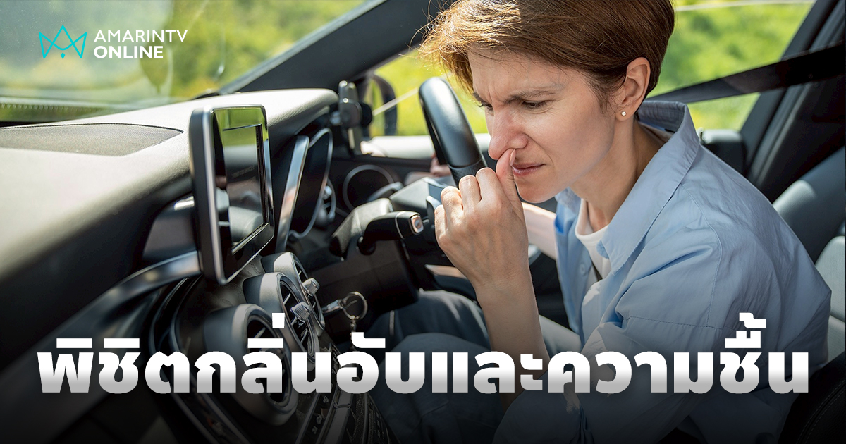 พิชิตกลิ่นอับและความชื้น ดูแลห้องโดยสารรถยนต์ฉบับฝนพรำแบบจัดเต็ม