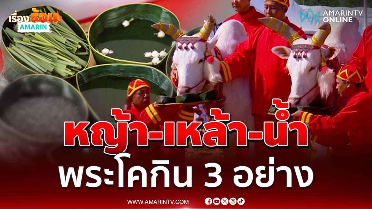 แรกนาขวัญปีนี้ พระโคเลือกกิน หญ้า-เหล้า-น้ำ ฟังคำทำนายเลย