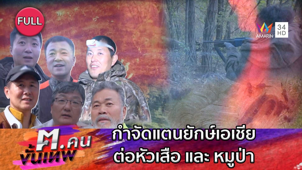 กำจัดแตนยักษ์เอเชีย ต่อหัวเสือ หมูป่า | ฅ.คนขั้นเทพ