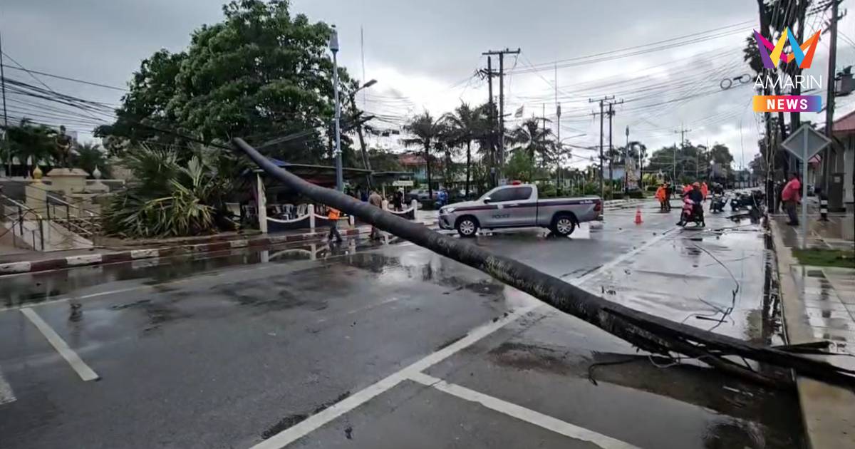 ฝนกระหน่ำสัตหีบ! ต้นตาลอายุ 100 ปี ล้มทับร้านขนมจีนพังยับ