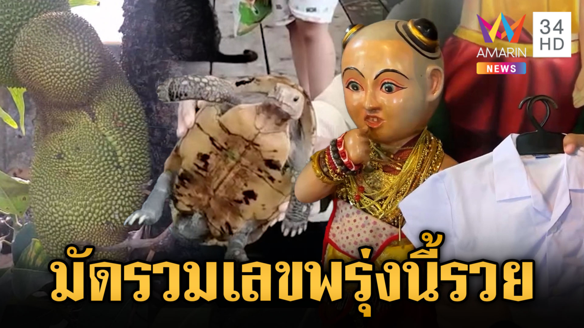 พรุ่งนี้รวย! มัดรวมเลขเด็ด เต่าสีทองกระดองพระสมเด็จ-ขนุนคล้ายทารก