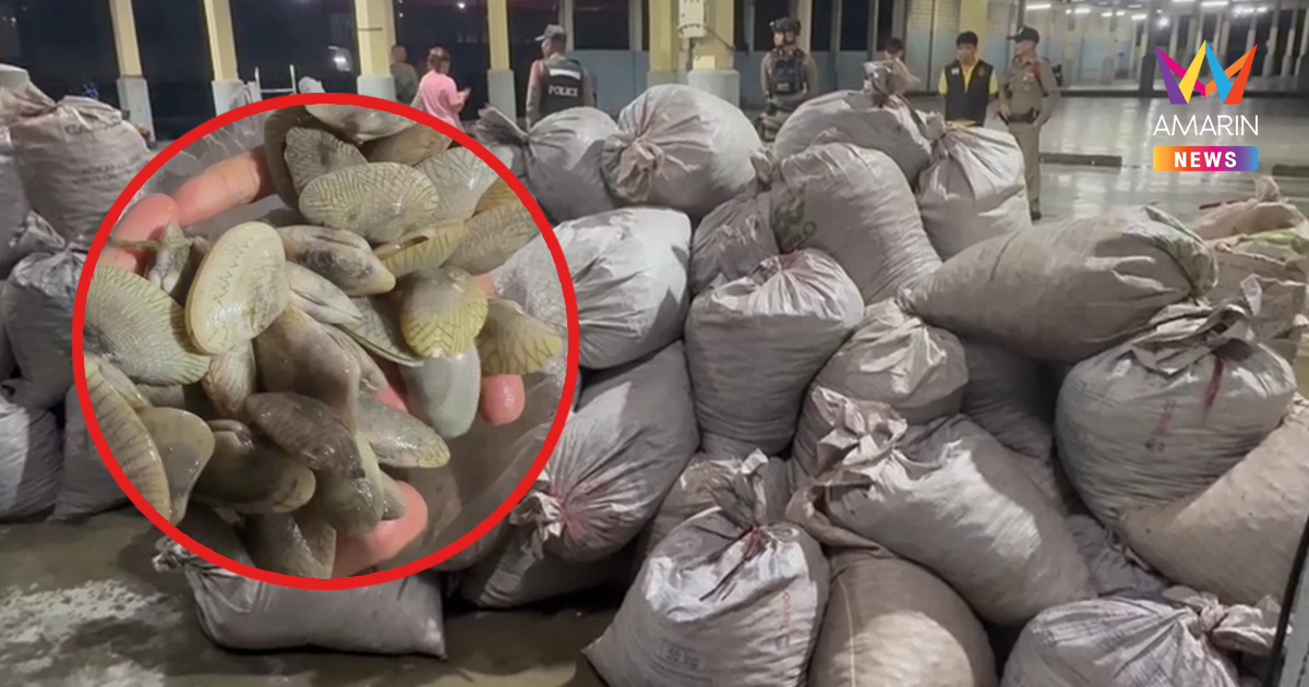 จับเรือเมียนมา ยึดหอยเถื่อนกว่า 5 ตัน ลักลอบนำเข้าน่านน้ำระนอง