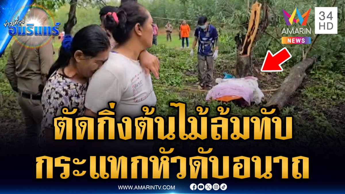 รปภ.ดวงกุด ตัดกิ่งต้นไม้ล้มทับตัวเอง กระแทกหัวดับ