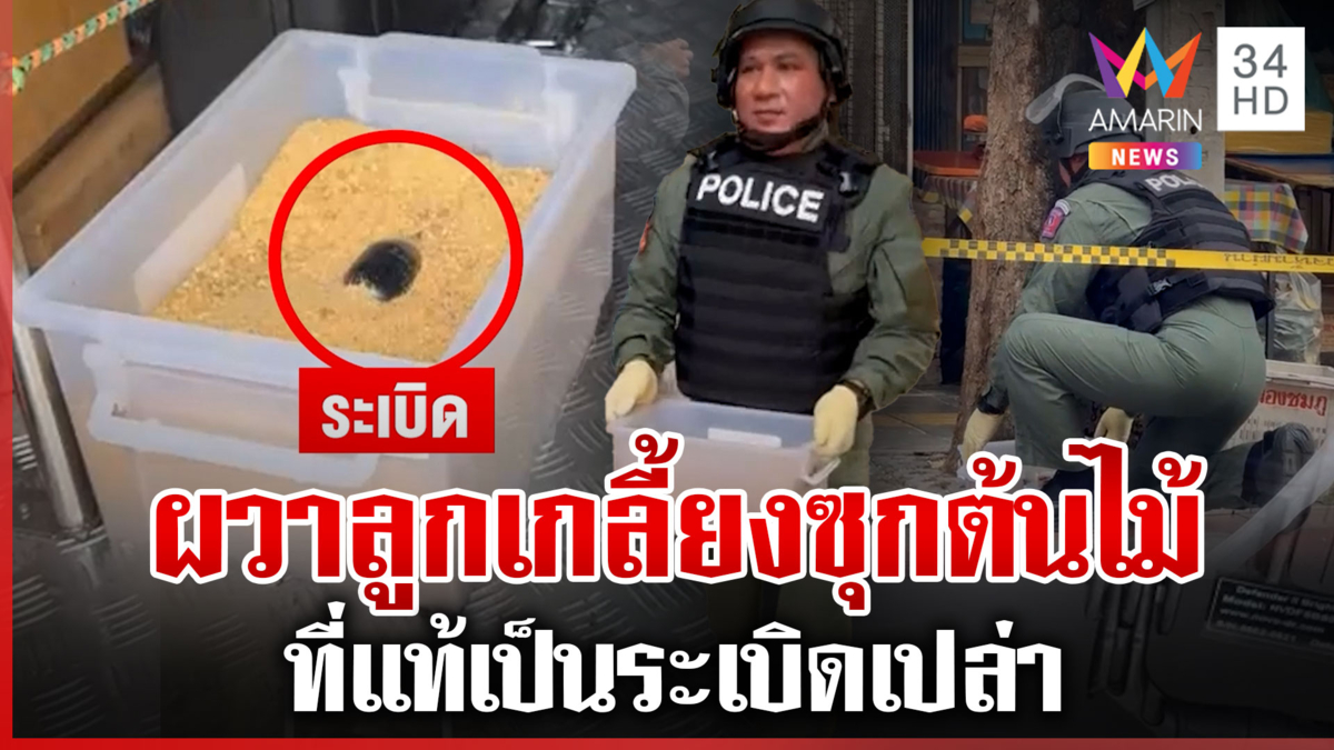 แตกตื่นเก็บกู้ระเบิดซุกต้นไม้ รัศมีบึ้ม 25 เมตร ที่แท้ระเบิดเปล่า