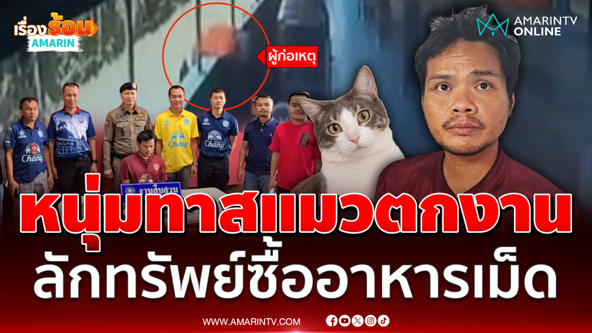 หนุ่มทาสแมวตกงาน ลักทรัพย์ซื้ออาหารเม็ดเลี้ยงแมว 5 ตัว