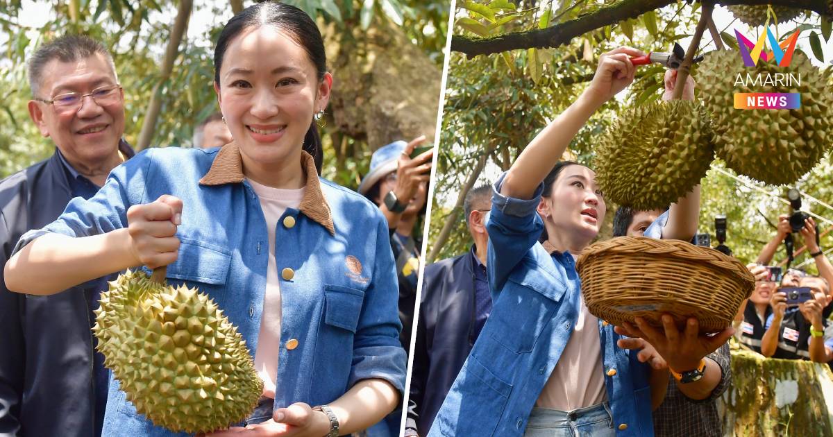 นายกฯ​ เชิญชวน​ คนไทยอุดหนุนผลไม้ไทย​ ฝนตกชุก ห่วงผลผลิตล้น​