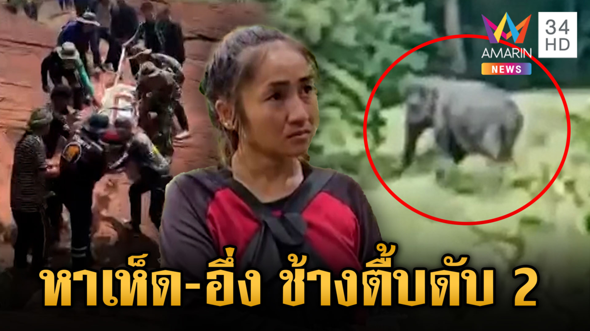 ช้างป่าเหยียบ 2 ศพ เข้าป่าหาอึ่ง กับ หาเห็ด