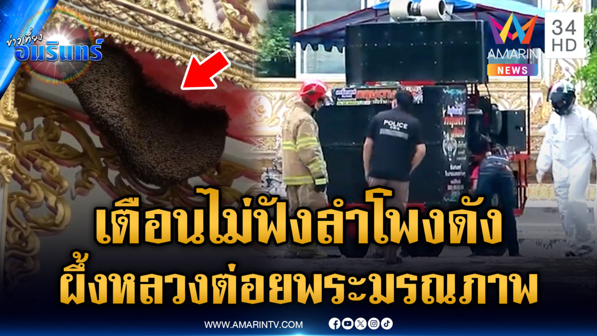แห่นาคจัดเต็มชุดเครื่องเสียง ผึ้งหลวงแตกรังต่อยพระมรณภาพ