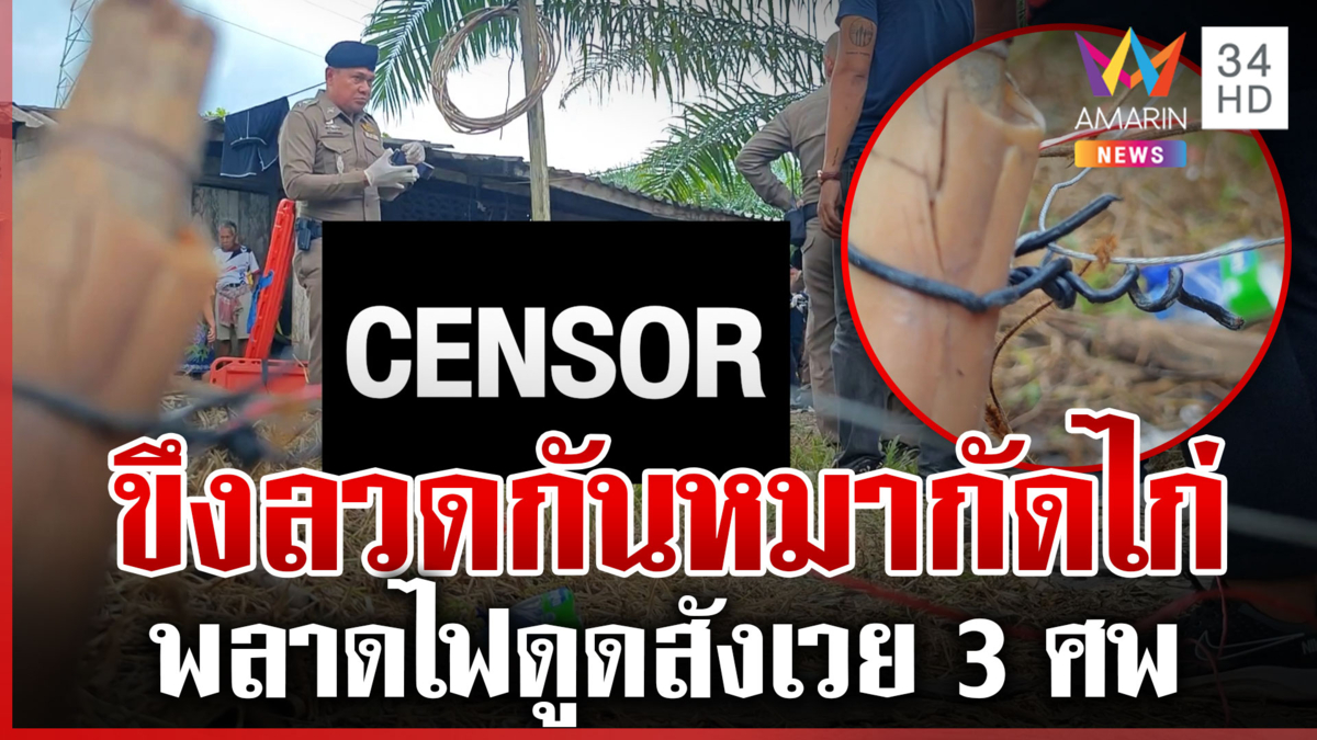 สลด! ขึงลวดปล่อยกระแสไฟกันหมากัดไก่ พลาดแตะลวดดับ 3