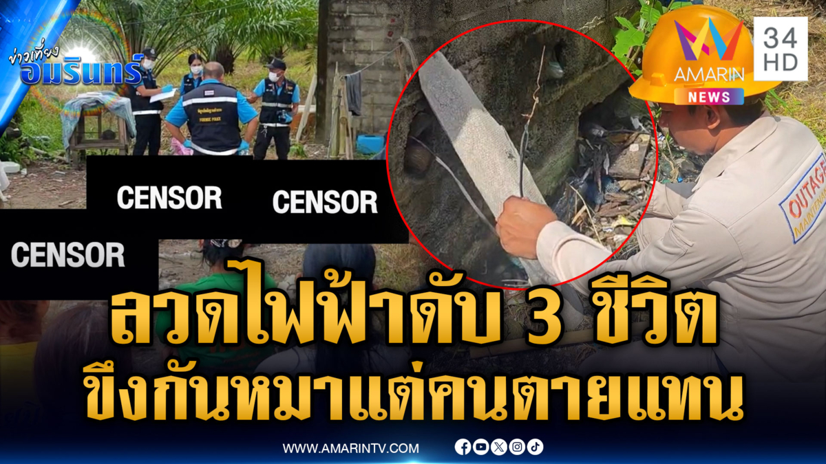 สังเวย 3 ชีวิต ขึงลวดไฟฟ้ากันหมากัดไก่ แต่เจ้าของบ้านตายแทน