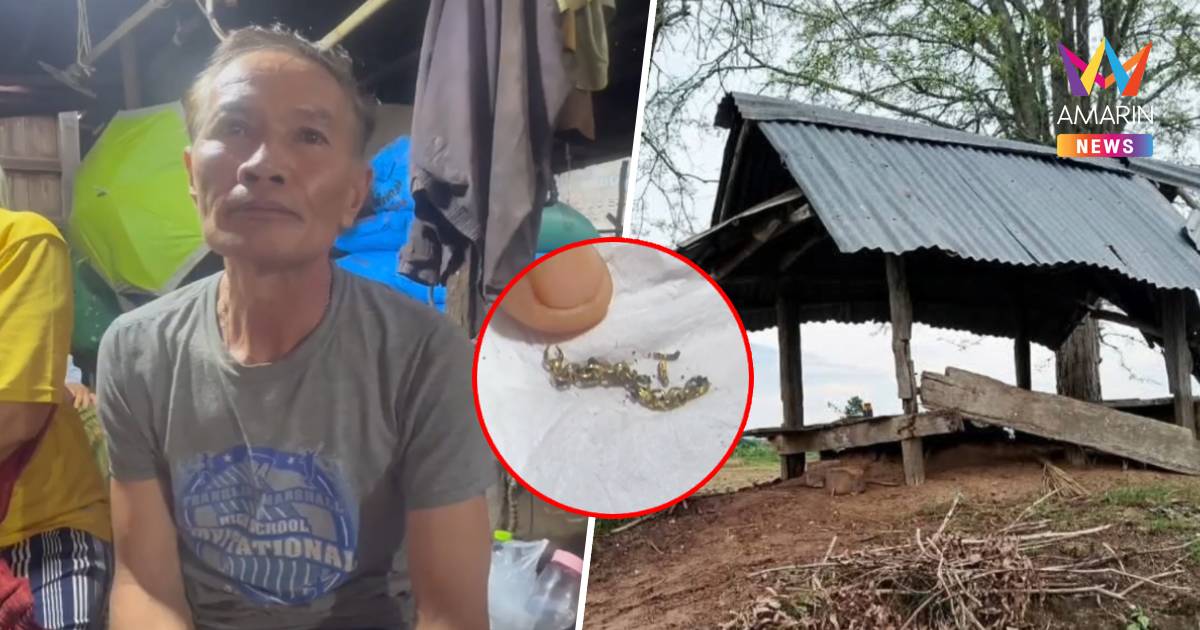 ฟ้าดุเปรี้ยงเดียวกลางกระท่อม ลูกดับ ส่วนพ่อรอดราวปาฎิหาริย์