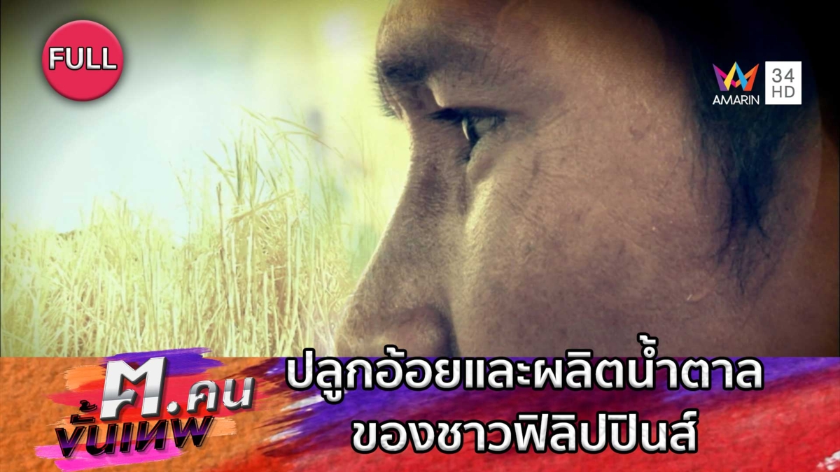 การปลูกอ้อยและผลิตน้ำตาลส่งออกของชาวฟิลิปปินส์ | ฅ.คนขั้นเทพ