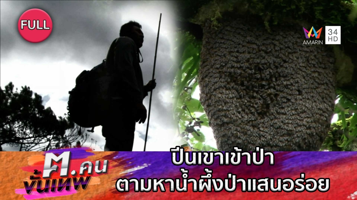 ปีนเขาเข้าป่า ตามหาน้ำผึ้งป่าแสนอร่อย | ฅ.คนขั้นเทพ