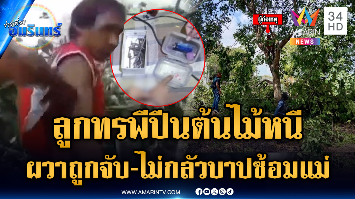 แม่แจ้งจับลูกทรพีติดยา-ทำร้าย พอเจ้าหน้าที่บุกบ้าน ปีนต้นไม้หนี