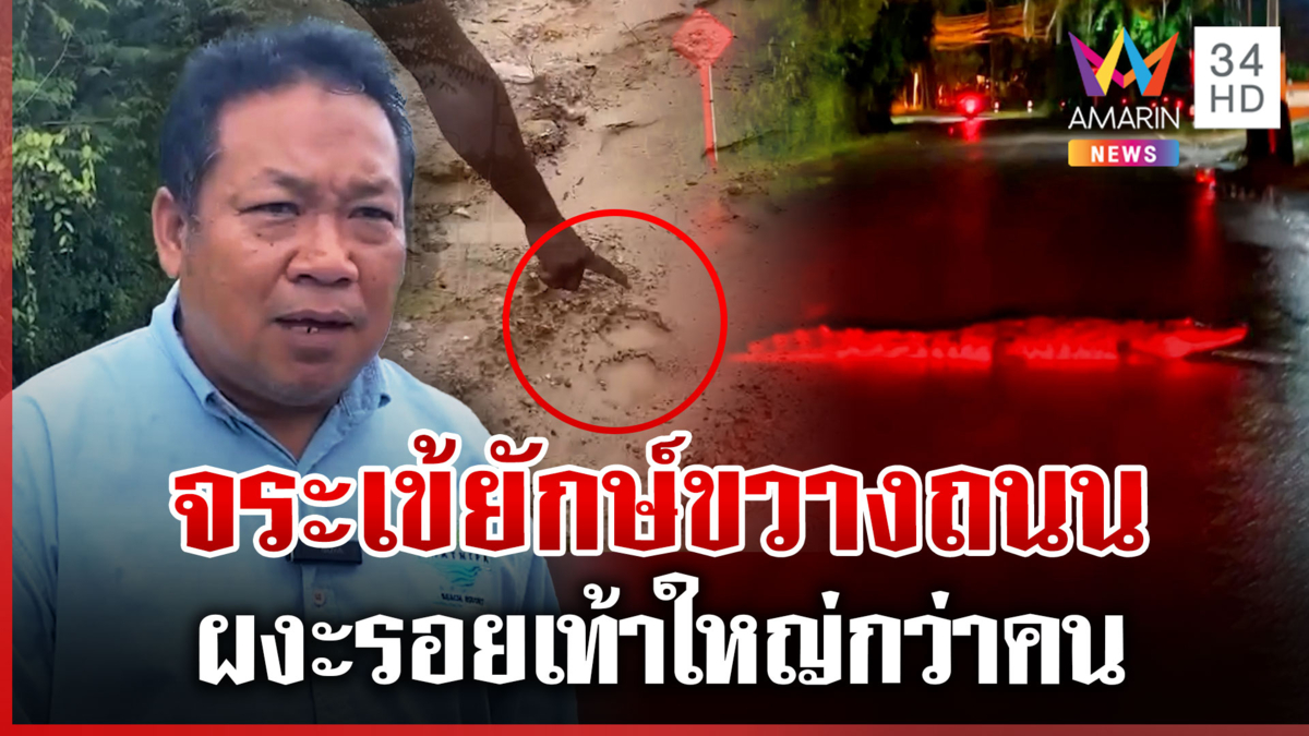 ชาวบ้านผวาจระเข้ยักษ์นอนขวางถนน รอยเท้าใหญ่กว่าคน