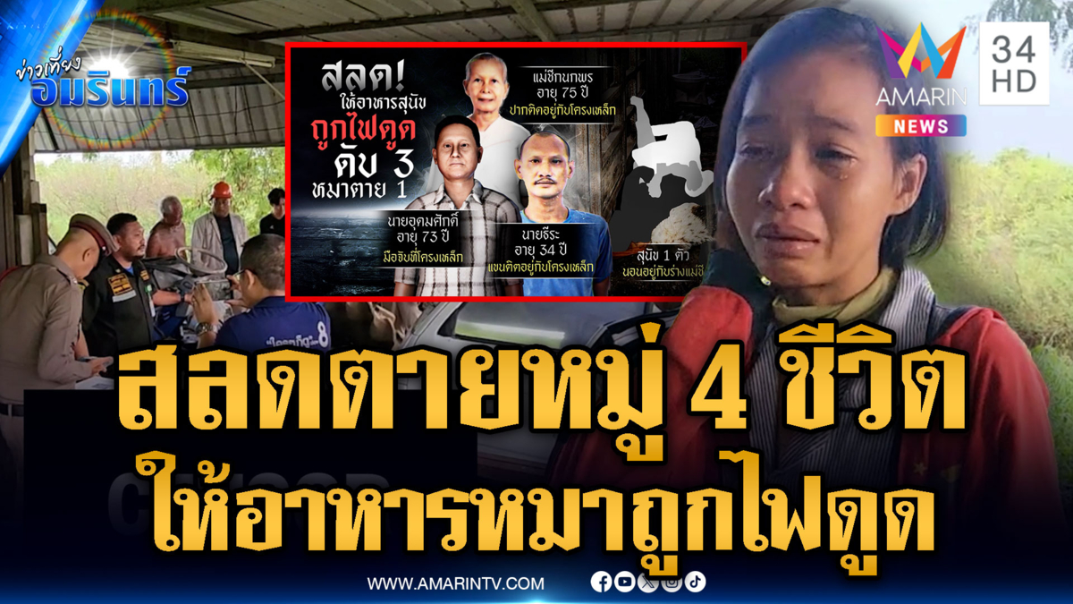 สังเวยให้อาหารสัตว์ แต่ถูกไฟดูด คนตาย 3 หมา 1