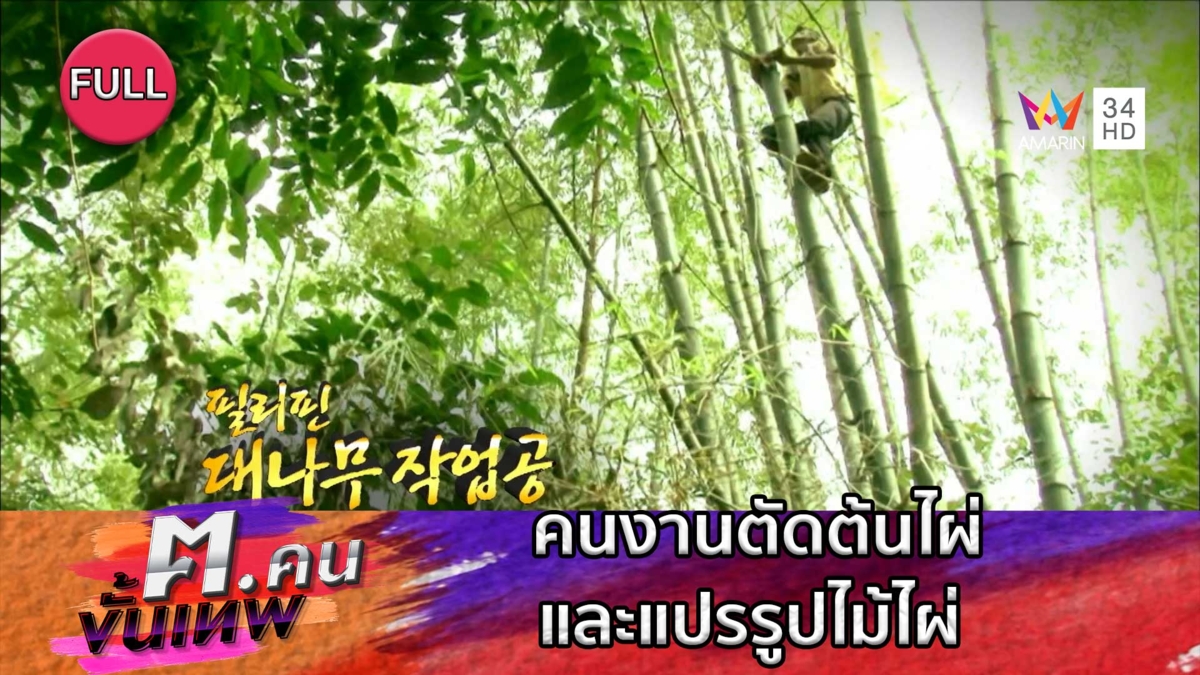 คนงานตัดต้นไผ่และแปรรูปไม้ไผ่ | ฅ.คนขั้นเทพ