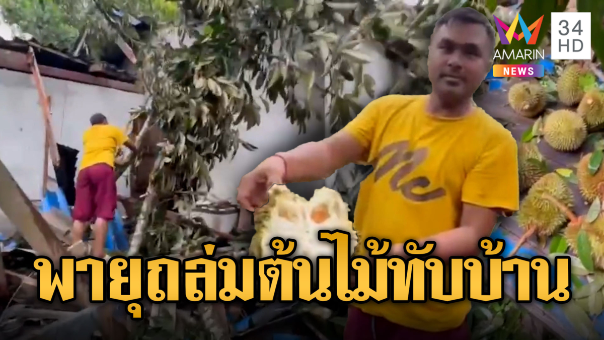 ฝนถล่มลมพัดต้นทุเรียนอายุ 30 ปี ล้มทับบ้านพังเสียหาย