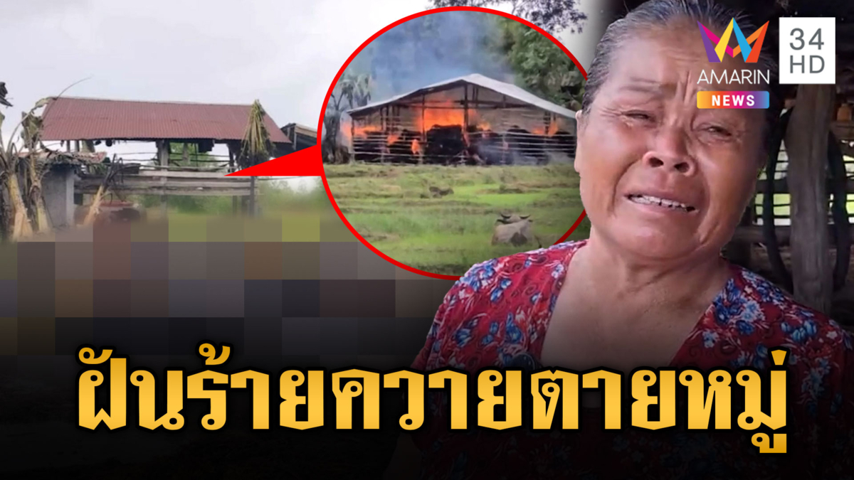 สงสาร! ยายร่ำไห้ไฟไหม้คลอกควายตายหมู่