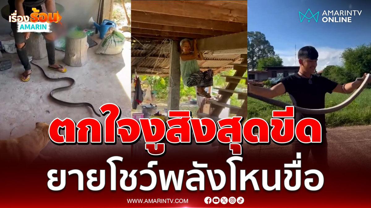 ยายตกใจงูสุดขีด โดดโหนขื่อแบบไม่คิดชีวิต