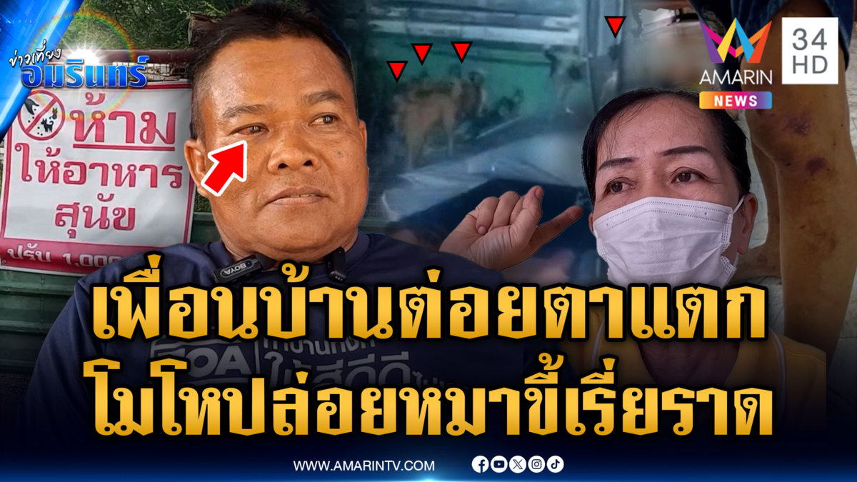 โมโหเพื่อนบ้านเลี้ยงหมาจรจัด ปล่อยขี้เรี่ยราด-ปีนหลังคารถ
