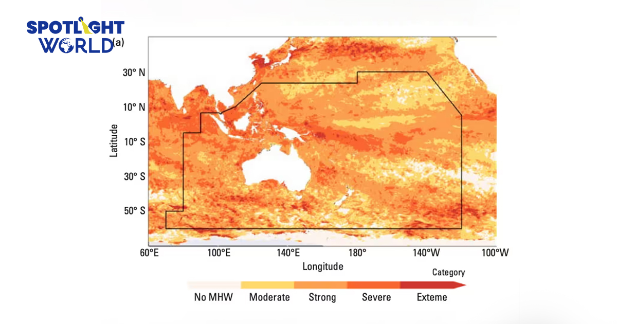 WMO ชี้สาเหตุ 2024 ร้อนหนัก พบคลื่นความร้อนใต้ทะเล ใหญ่กว่าไทย 78 เท่า