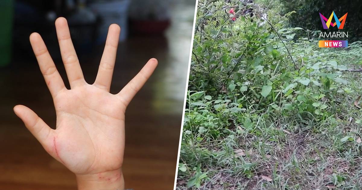 ล่าไอ้หื่น! ชายวัย 30 ปี ลาก ด.ญ. 10 ขวบไปชำเรากลางป่าใกล้สุสานจีน