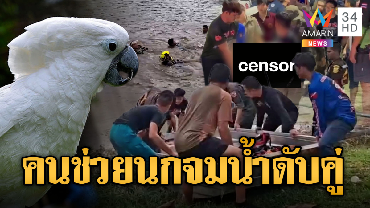 นกกระตั้วตกน้ำ เจ้าของตามช่วยจมดับ